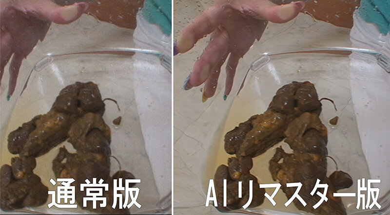 【AIリマスター版】プレミア美人うんち ココでしか見られないS級素人││4時間以上作品│433rai00030