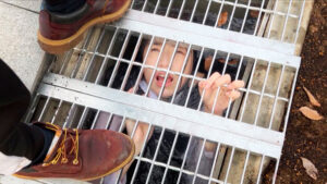 【性処理】下水管少女《尿・体液・水を口に注ぎまくる汁レ○プ》僕の下水が溺れた少女の体を駆け巡る。 花狩まい│花狩まい│ハイビジョン│omhd00018